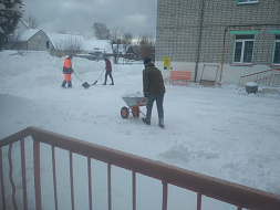 Крепкая дружба